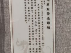 -西安碑林博物馆