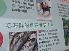 -好渔夫鱼场