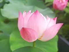 -蘇锦宴·淮扬菜烤鸭·小院(三元桥霄云路店)