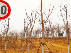 -天津东丽湖风景区