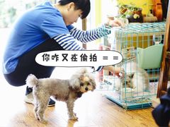 -志龙皇冠吃货椰子铺