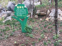 -佛爷洞旅游景区