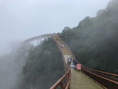 -少华山国家森林公园