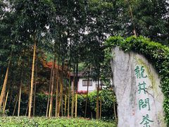 -十八棵（老龙井）御茶园(老龙井店)