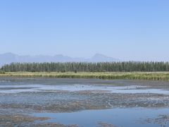 -野鸭湖国家湿地公园