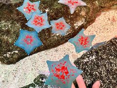 -沈阳海洋探索中心