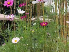 -新竹里馆·花园餐厅(兴苑路店)