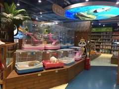 -龟与熊猫宠物公园(南坪店)