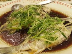 礼记鱼翅海鲜酒家-凤城礼记鱼翅海鲜酒家(新马路总店)