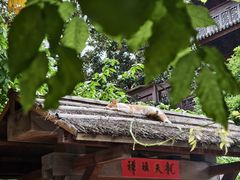 -龙华素斋(龙华路店)