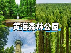 -黄海国家森林公园