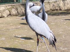 -哈尔滨北方森林动物园