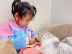 -怪兽屋·羊驼·猫咖·狗咖(俊华广场店)