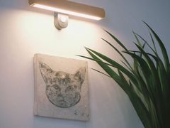 -猫里有甜
