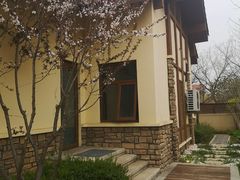 -大连金石滩绿发温泉假日酒店