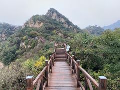 -大岭沟猕猴桃谷风景区
