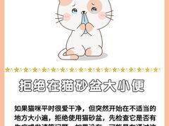 -爱侣宠医·鹦鹉专科·小型哺乳类·异宠专科(灵石路店)