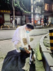 点击看大图 -大麦微针植发全国连锁