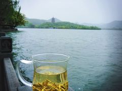 -杭州西湖柳莺里酒店