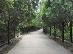 -府君山公园