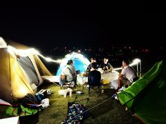 -春花秋色城市公园