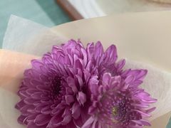 -小苍兰风铃草蛋糕甜品(沈阳店)