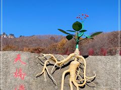 -丹东天桥沟景区