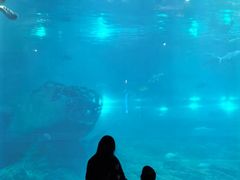 -福州罗源湾海洋世界旅游区