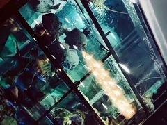 -叙亨轩海鲜火锅