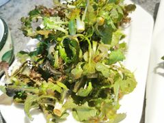 -华盛园卷子王农家菜水库鱼