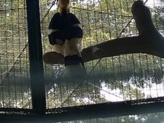 -吉隆坡雀鸟公园