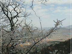 -北京鹫峰国家森林公园