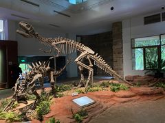 -自贡恐龙博物馆