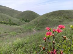-萍乡武功山风景名胜区