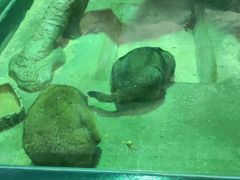 -福州罗源湾海洋世界旅游区