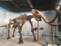-辽宁古生物博物馆