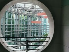 -复旦大学附属肿瘤医院(徐汇院区)