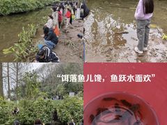 -重庆彩云湖湿地公园