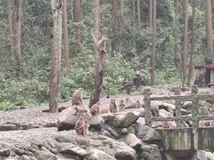 -姑婆山旅游区