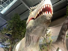 -湖南省地质博物馆