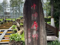 -横道河子东北虎林园