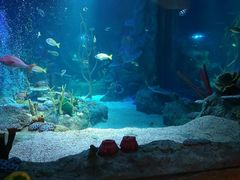 -沈阳海洋探索中心