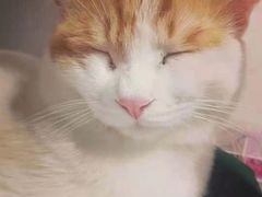 -美联众合爱康动物医院•复杂内科•肿瘤科•牙科•腔镜诊疗中心