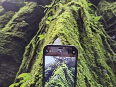 -山王坪喀斯特国家生态公园