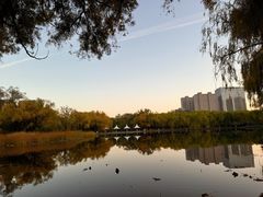 -青城公园
