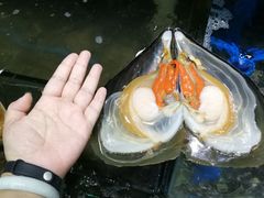 -蚝专家(北滘店)
