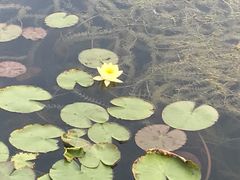 -昆山城市生态森林公园