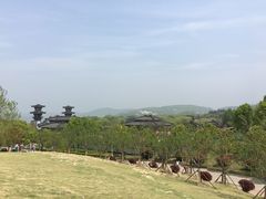 -东方明珠国际旅行社有限公司