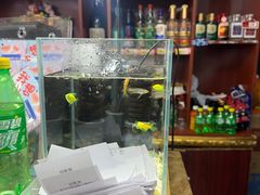 -叶存利海鲜大馅饺子(海宁路总店)