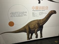 -衢州市博物馆